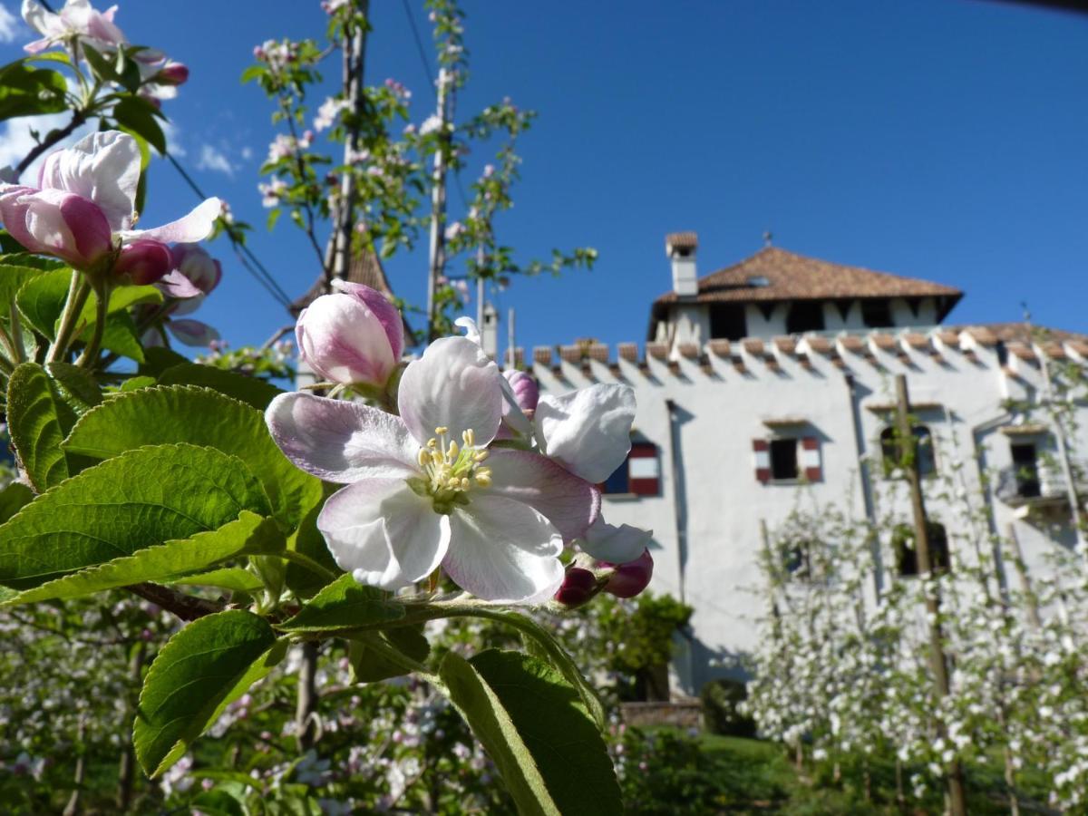 אפיאנו סולה סטרדה דל וינו Apartments Schloss Paschbach מראה חיצוני תמונה