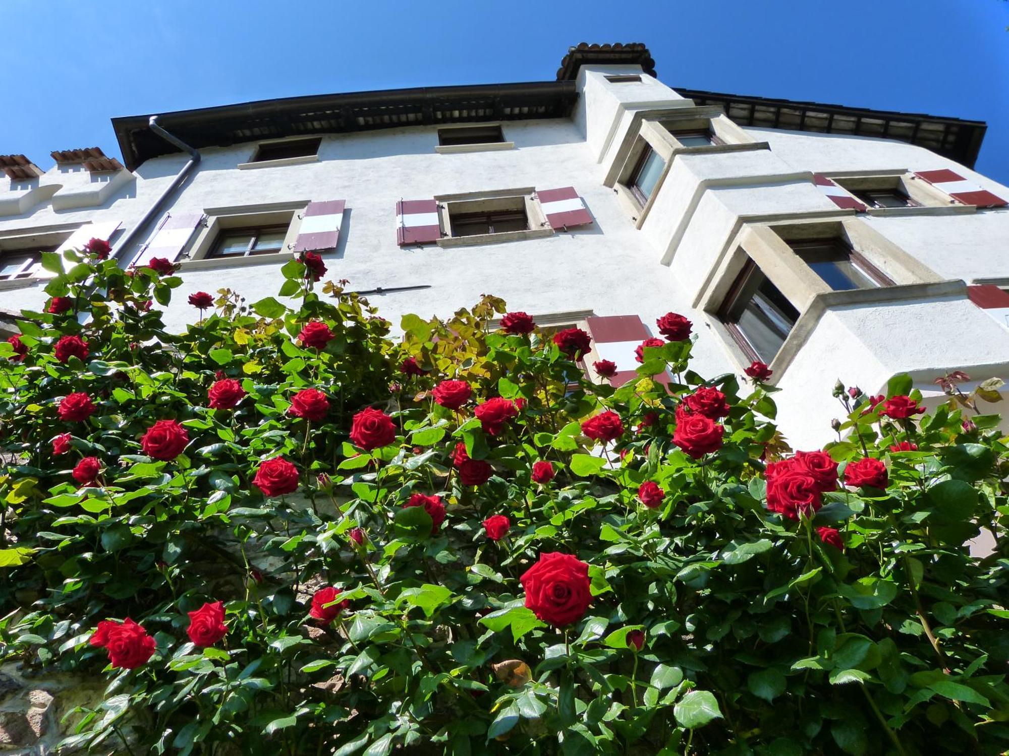 אפיאנו סולה סטרדה דל וינו Apartments Schloss Paschbach מראה חיצוני תמונה