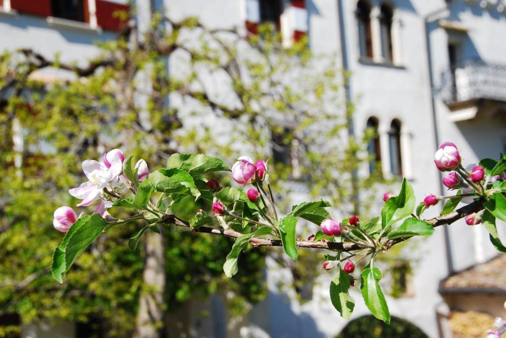 אפיאנו סולה סטרדה דל וינו Apartments Schloss Paschbach מראה חיצוני תמונה
