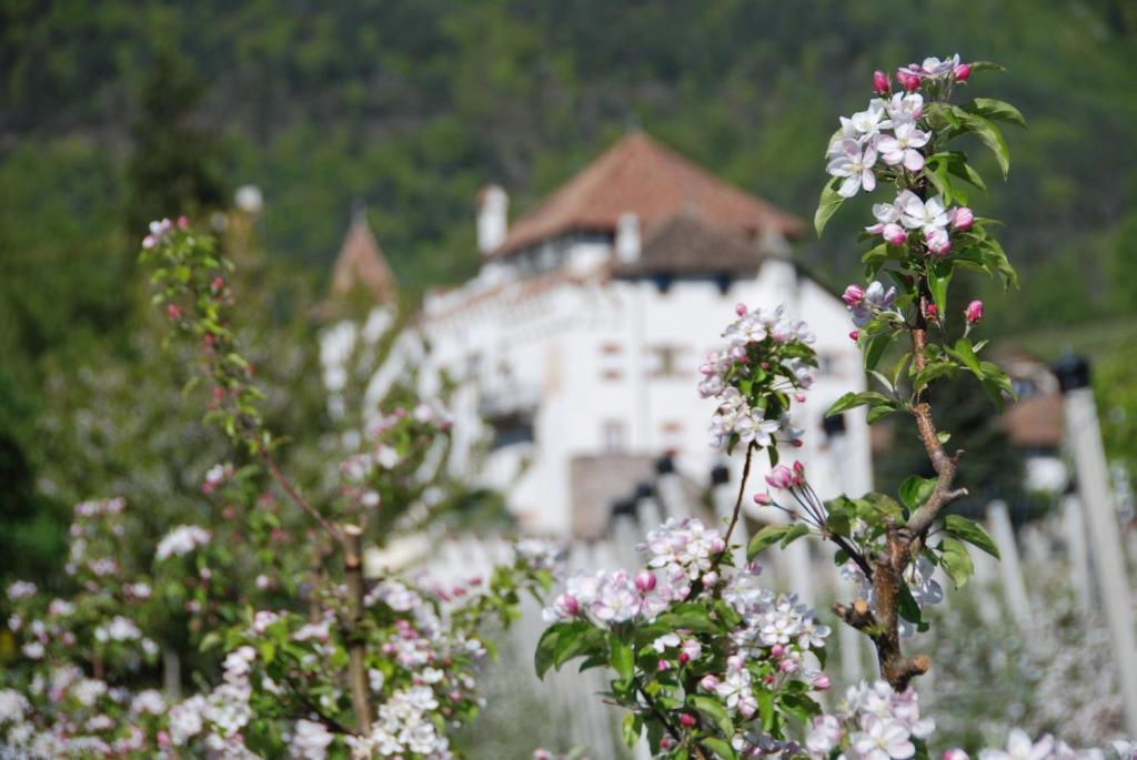אפיאנו סולה סטרדה דל וינו Apartments Schloss Paschbach מראה חיצוני תמונה