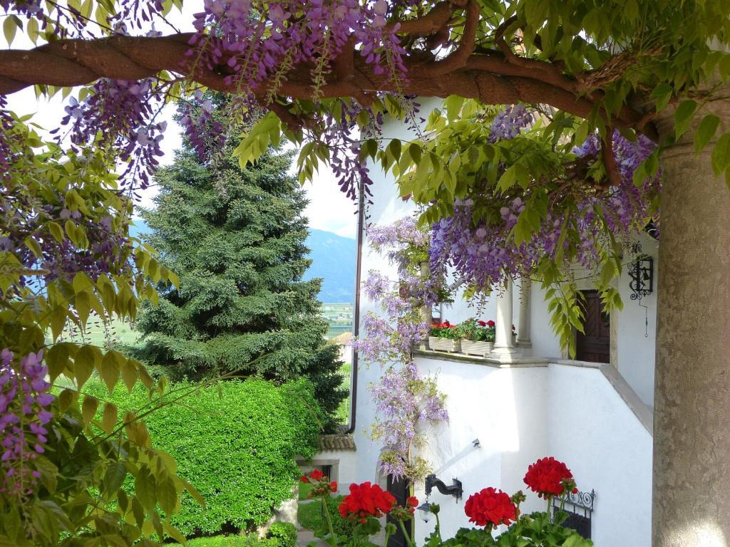 אפיאנו סולה סטרדה דל וינו Apartments Schloss Paschbach מראה חיצוני תמונה